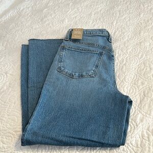 Madewell perfect vintage wide crop Jean